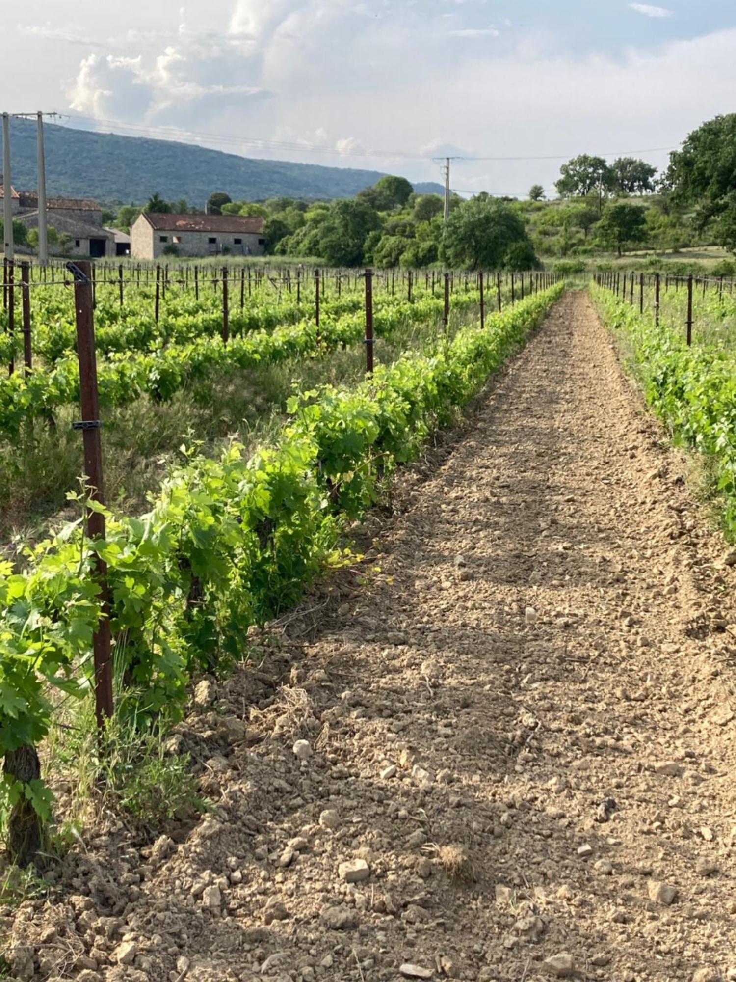 Les At Domaine Les Caizergues * Brissac